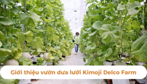 the gioi dua luoi thumb 1 2 1