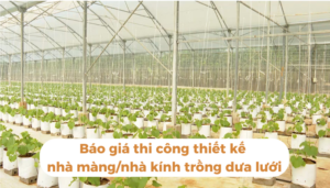 the gioi dua luoi thumb 1 3
