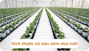 the gioi dua luoi thumb 1 7