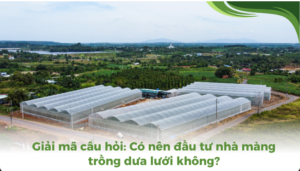 the gioi dua luoi thumb 2 1 1