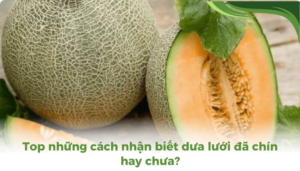 the gioi dua luoi thumb 2 3 1