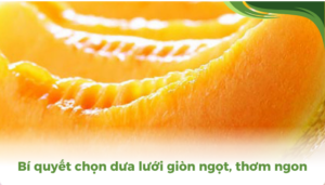 the gioi dua luoi thumb 2