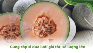 the gioi dua luoi thumb 2 5