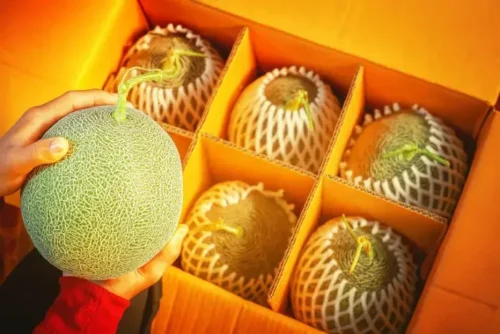 thung hop dung dua luoi carton in theo yeu cau 685628f8bca01