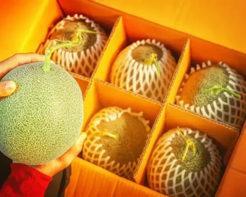thung hop dung dua luoi carton in theo yeu cau 685628f8bca01