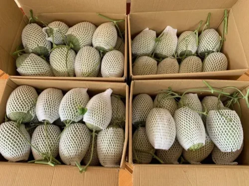 thung hop dung dua luoi carton in theo yeu cau 685628f8d6c5a