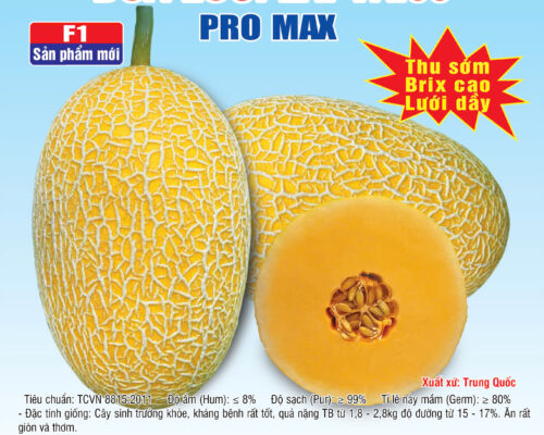 20241203 Dua luoi 95 1