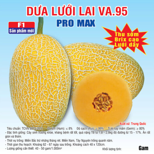 20241203 Dua luoi 95 1