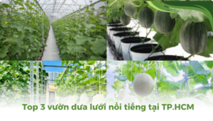 the gioi dua luoi thumb 2 1 1