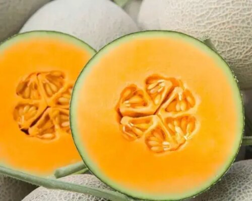 dua luoi nhat taki tgdl 692b9d63e5c71