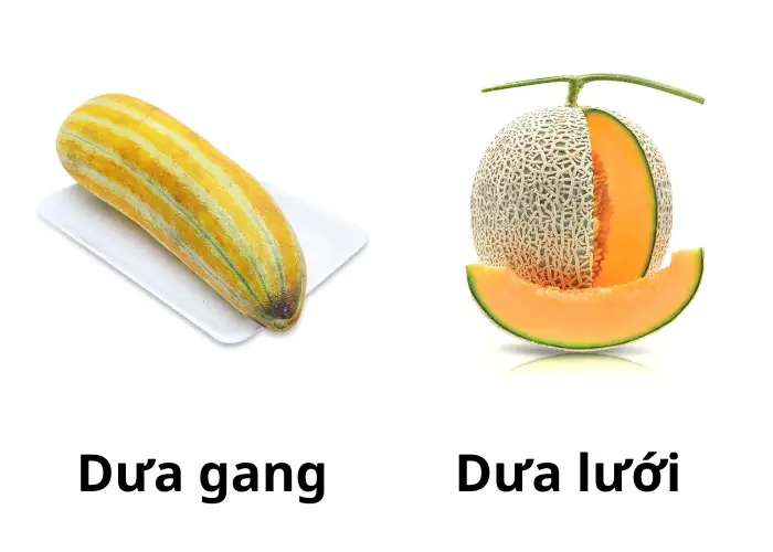 Phân biệt dưa gang và dưa lưới