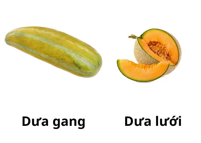 Lợi ích của dưa gang và dưa lưới