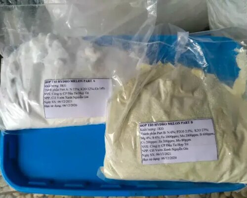 dung dich thuy canh cho dua luoi tgdl 692ba392d6107