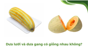 the gioi dua luoi thumb 2 1