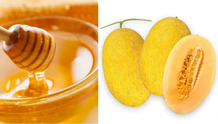 Nguyên liệu làm dưa lưới thuần trái cây