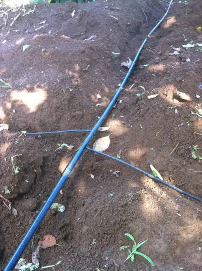 Tính chi phí ống nhỏ giọt dưa lưới