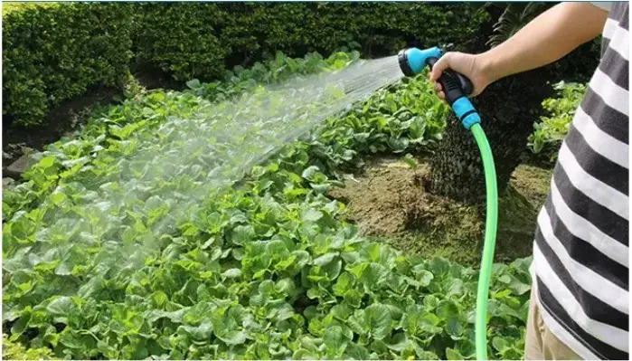 Dùng thuốc và biện pháp sinh học