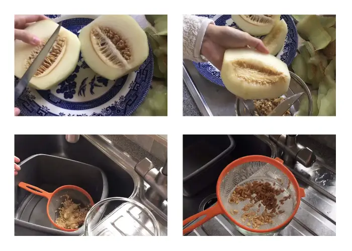 Quy trình rửa và loại bỏ chất nhầy trên hạt