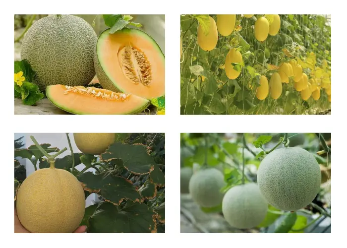 Bí quyết nâng cao năng suất và chất lượng