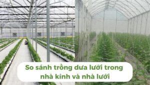 the-gioi-dua-luoi-thumb-1 (4)