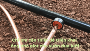 the gioi dua luoi thumb 1 7