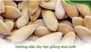 the gioi dua luoi thumb 2 1