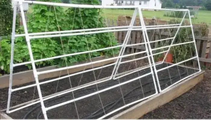 Giàn dưa lưới dạng hình chữ A